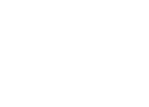 slidehalf-wordpress