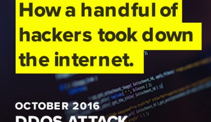 How a handful of hackers took down the internet