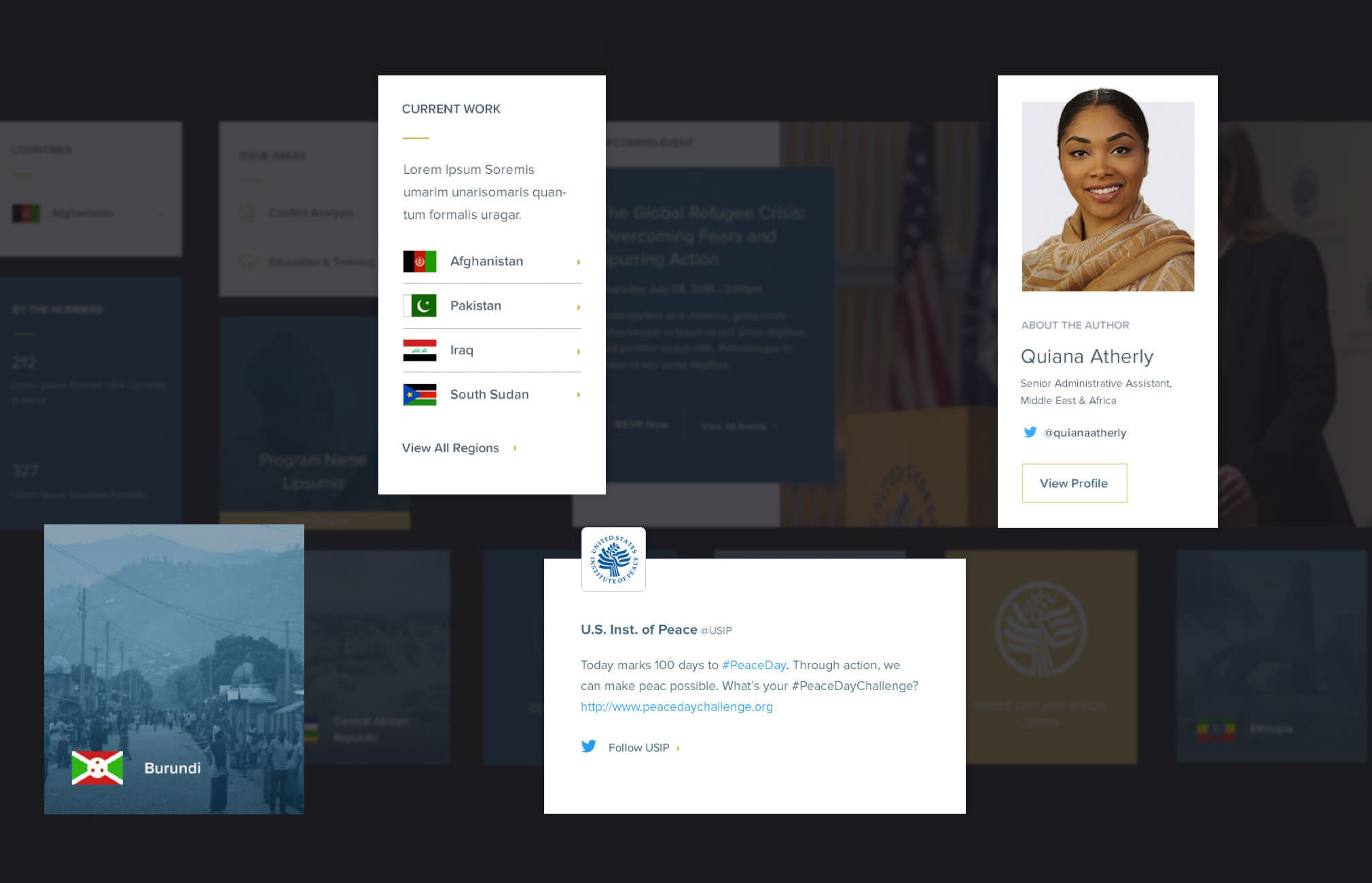 United States Institute of Peace - Drupal for Peace — WDG