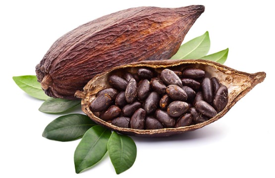 Cocoa Pod