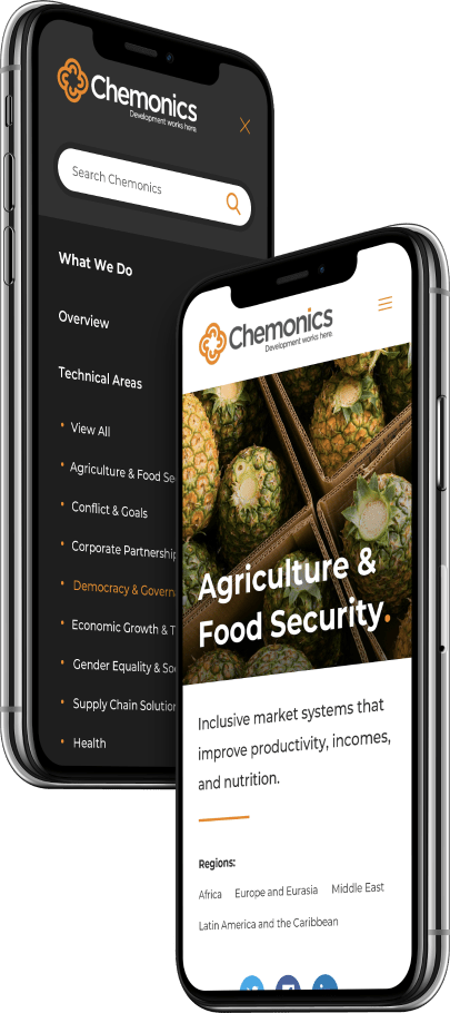 Screen shot of Chemonics Website on mobile device