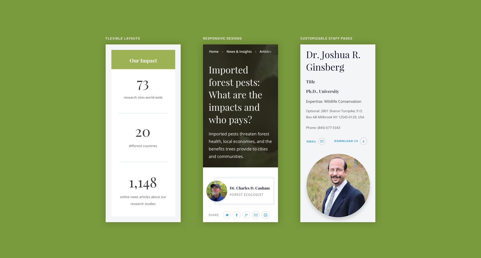Design comps for flexible layouts and responsive elements.