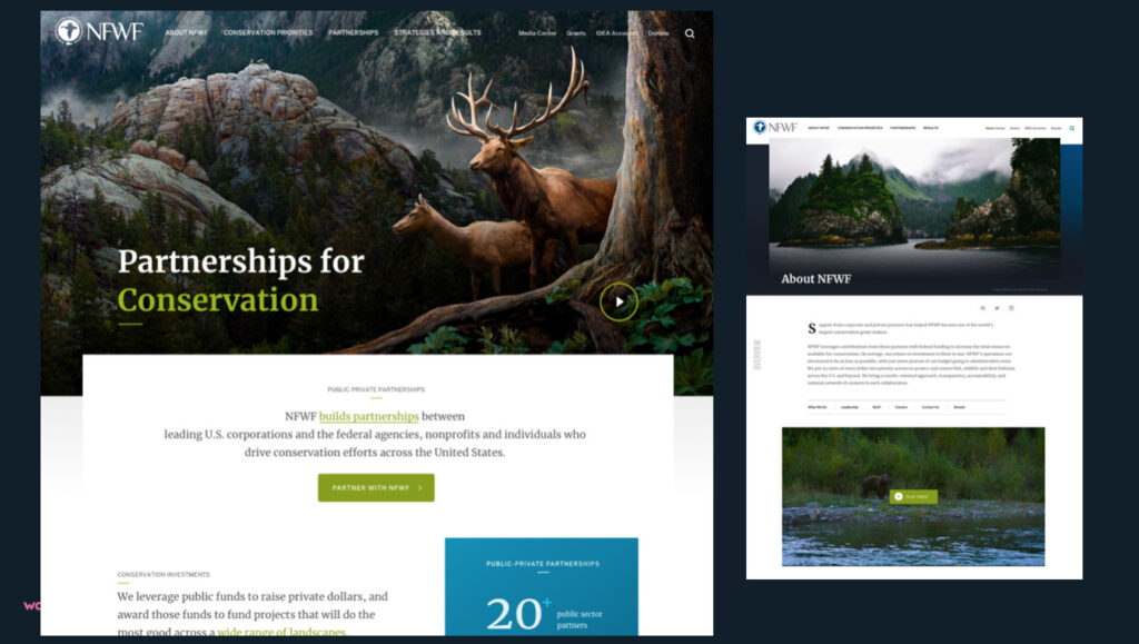 Drupal 9 upgrade for the National Fish and Wildlife Foundation