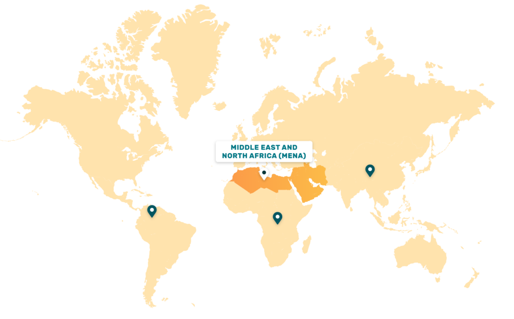 Custom map integration interface of the world with MENA countries highlighted for fsn network