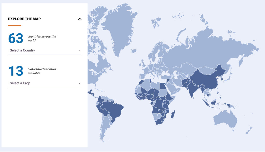 Custom WordPress map integration interface looping through custom post types to pull country data for harvestplus