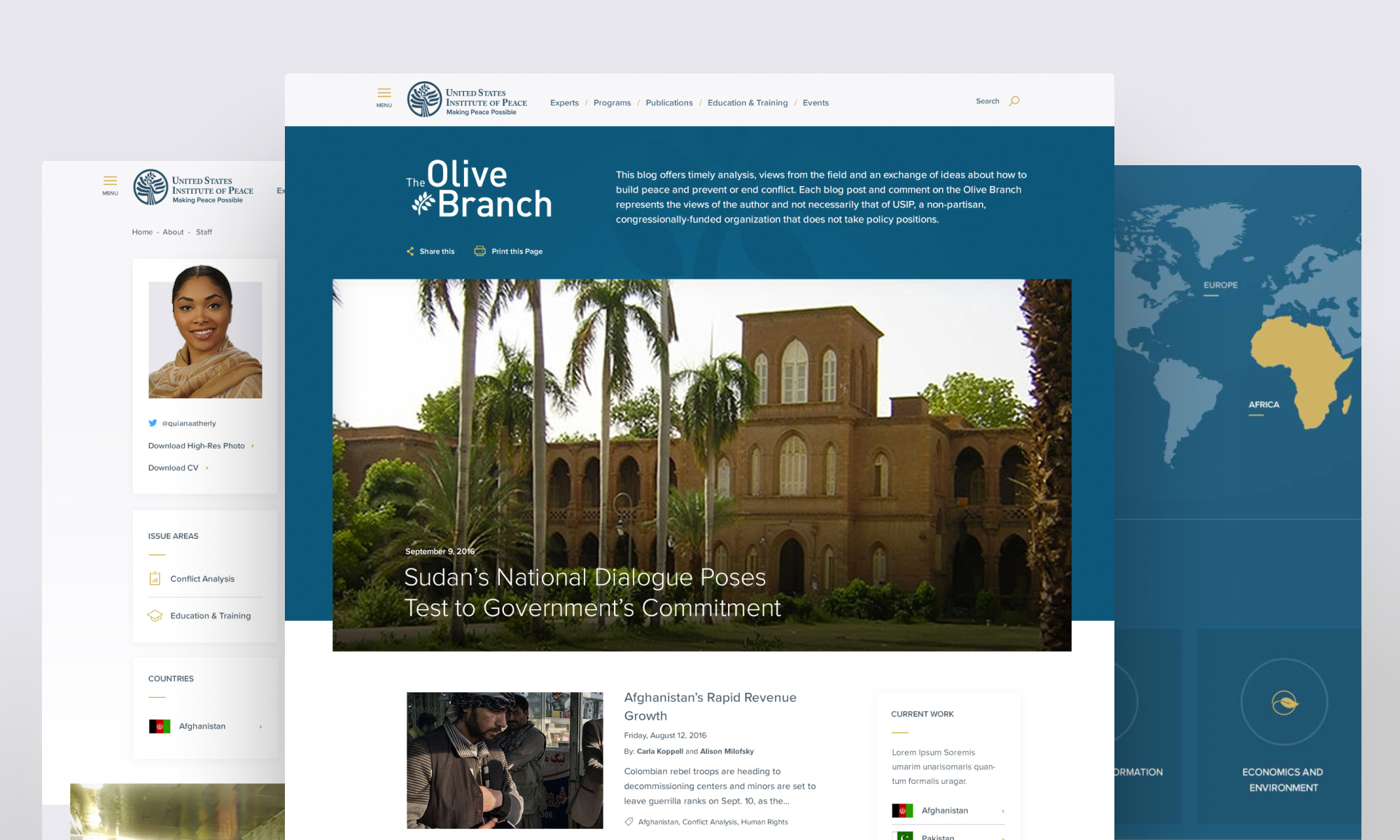Nonprofit web design example featuring the United States Institute of Peace website, developed by WDG.